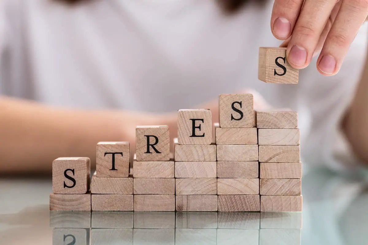 Distress vs Stress - restequation.com