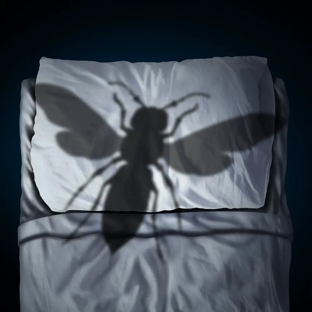 Conquering Your Fear of Insects: Tips and Advice - Rest Equation