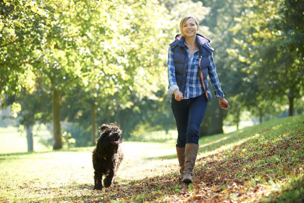 Unlock the Power of Nature and Exercise with Walk Therapy for Mental ...