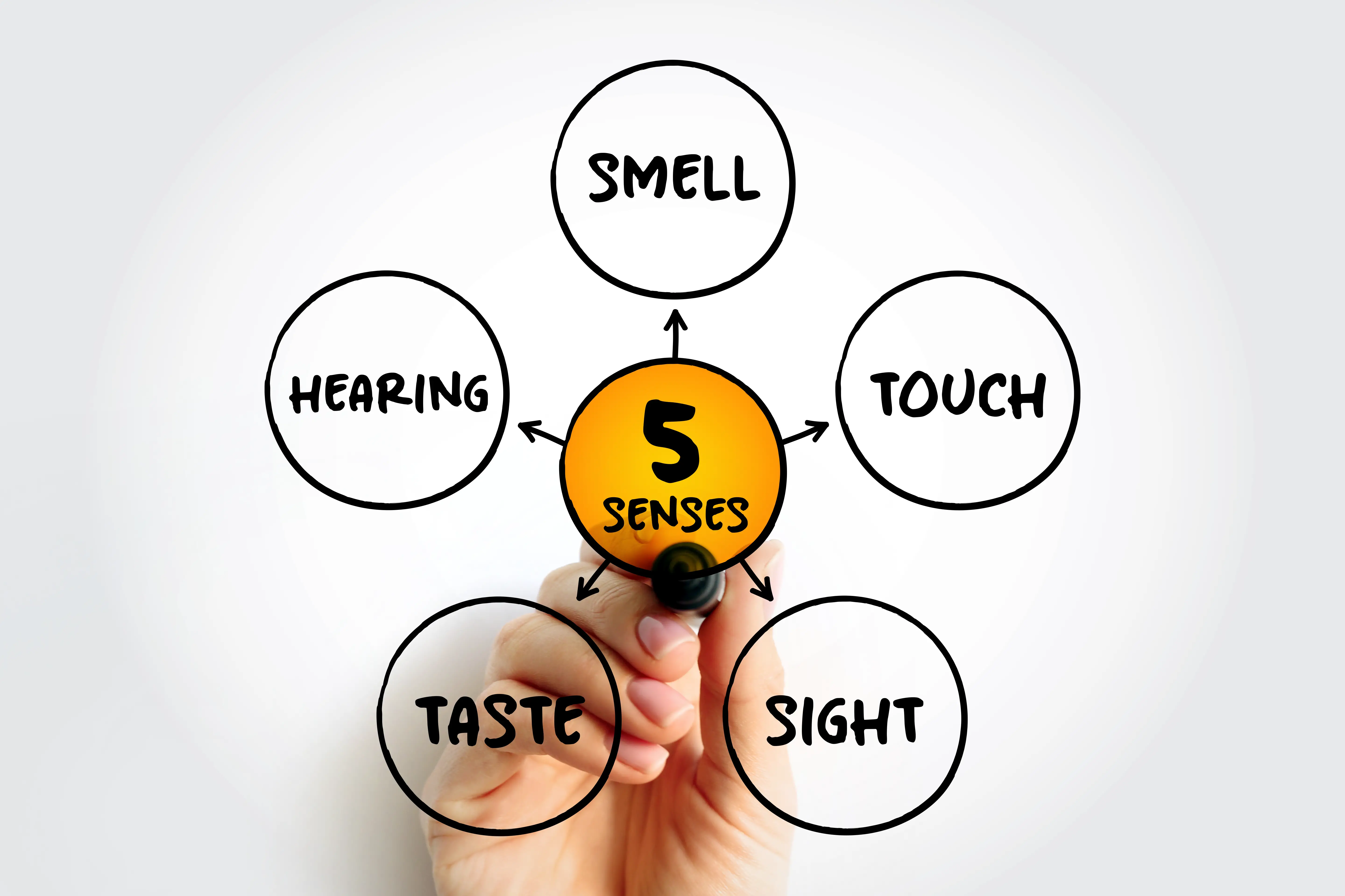 Five basic human senses: touch, sight, hearing, smell and taste, mind map concept for presentations and reports