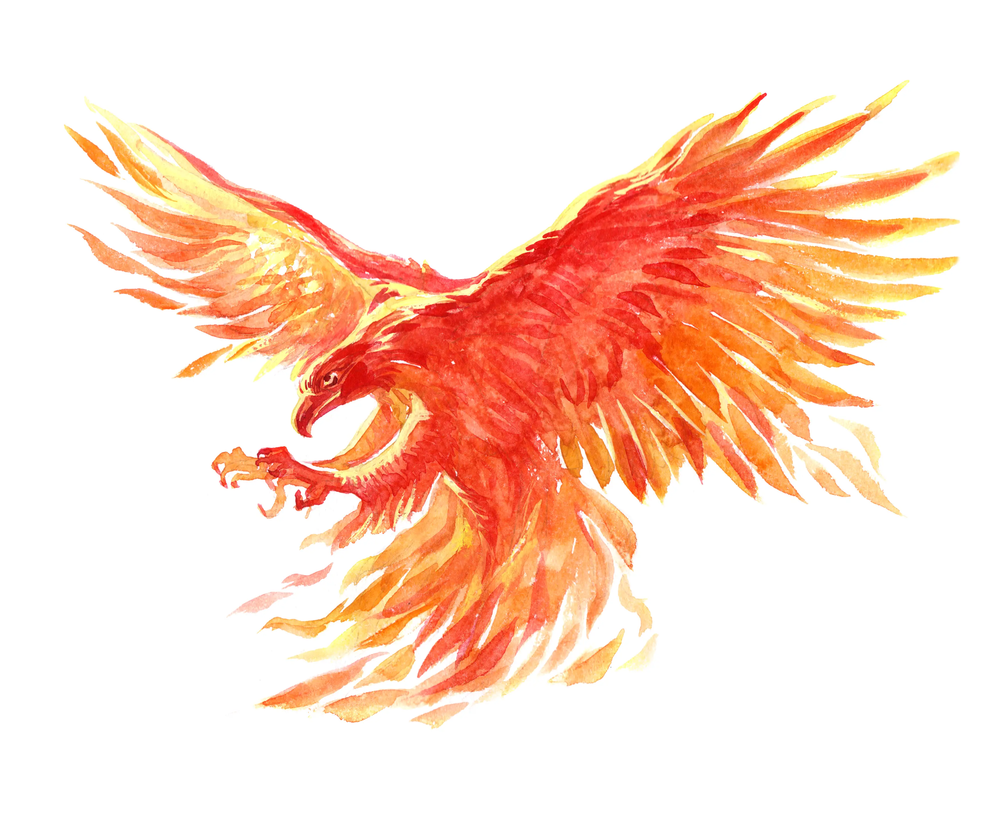 Watercolor single character mystical mythical character phoenix isolated